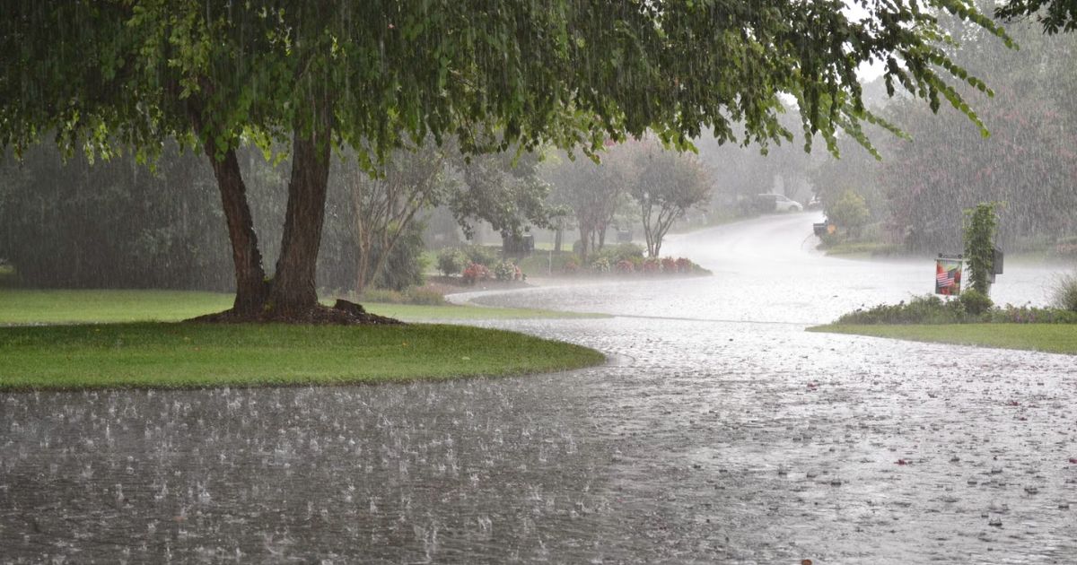 monsoon heavy rain