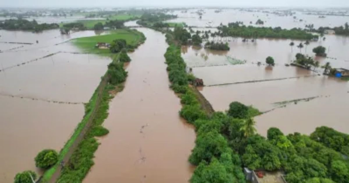 gujarat weather news