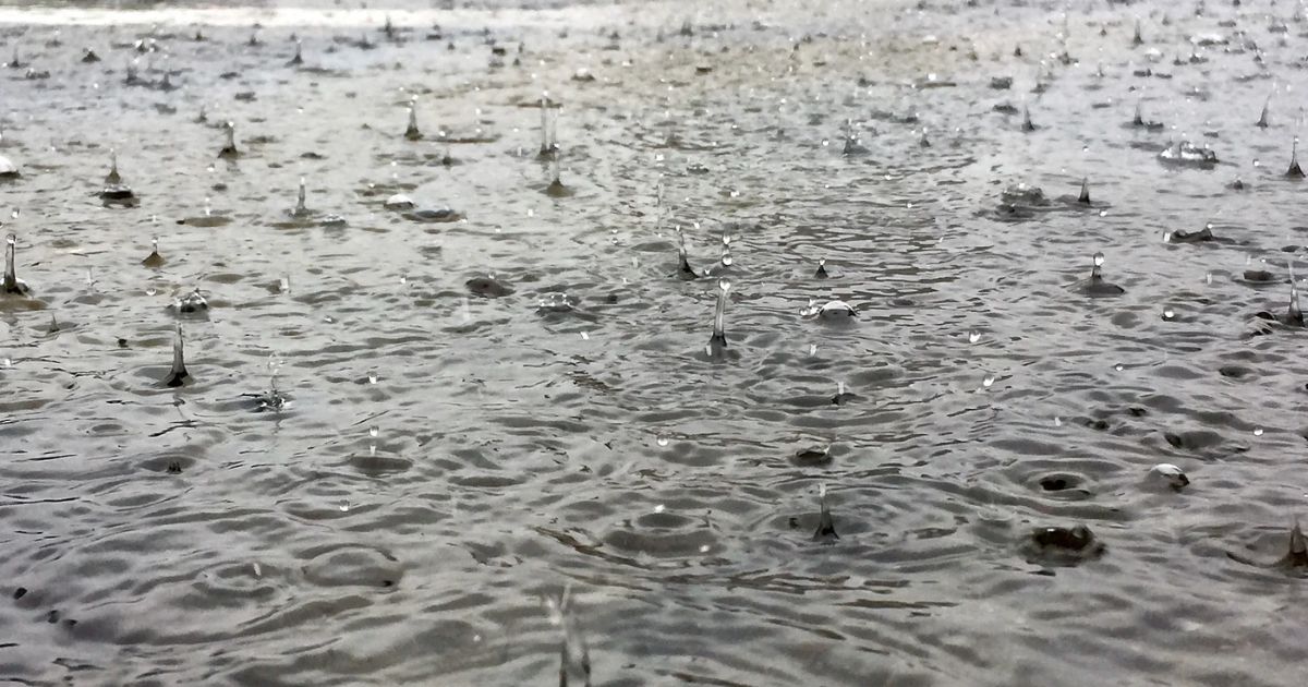 heavy rain in kerala or Karnataka